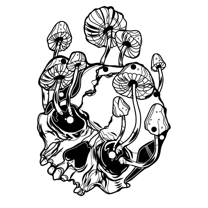 Champignons magiques // Crânes // Illustration