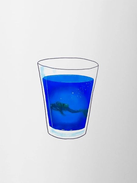 Plongée sous marine