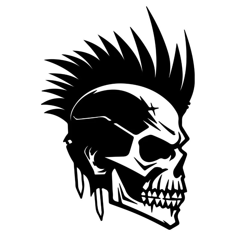 Skull Punk Kunst