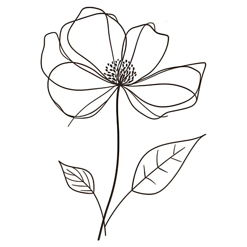 Flower individually as a drawing