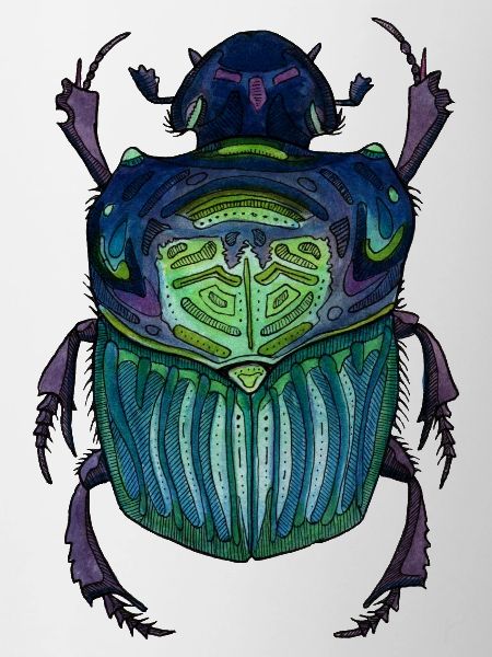 Big Beetle - Scarabeo gigante