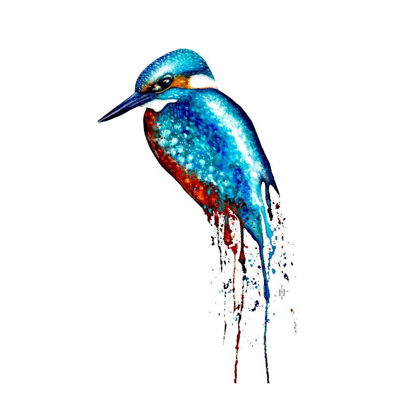 Aquarell Eisvogel