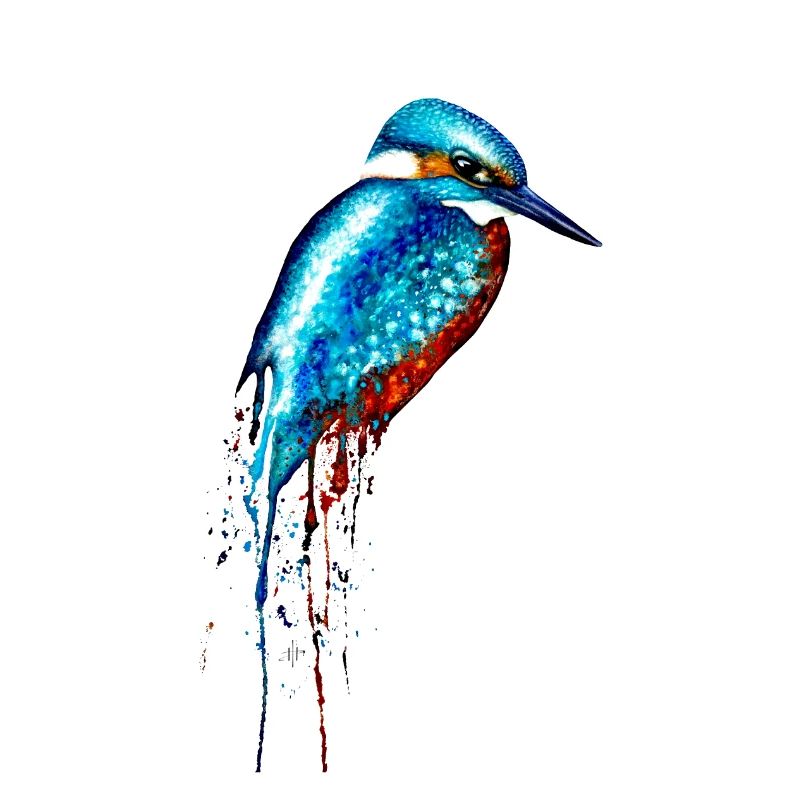 Aquarell Eisvogel