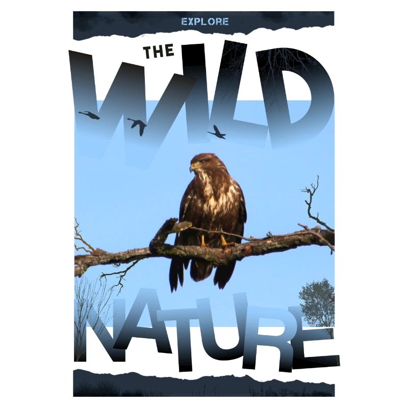 wild nature nature wilderness