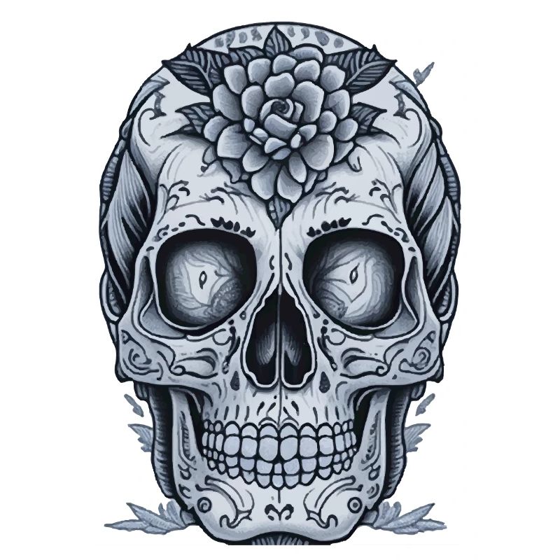 Skull