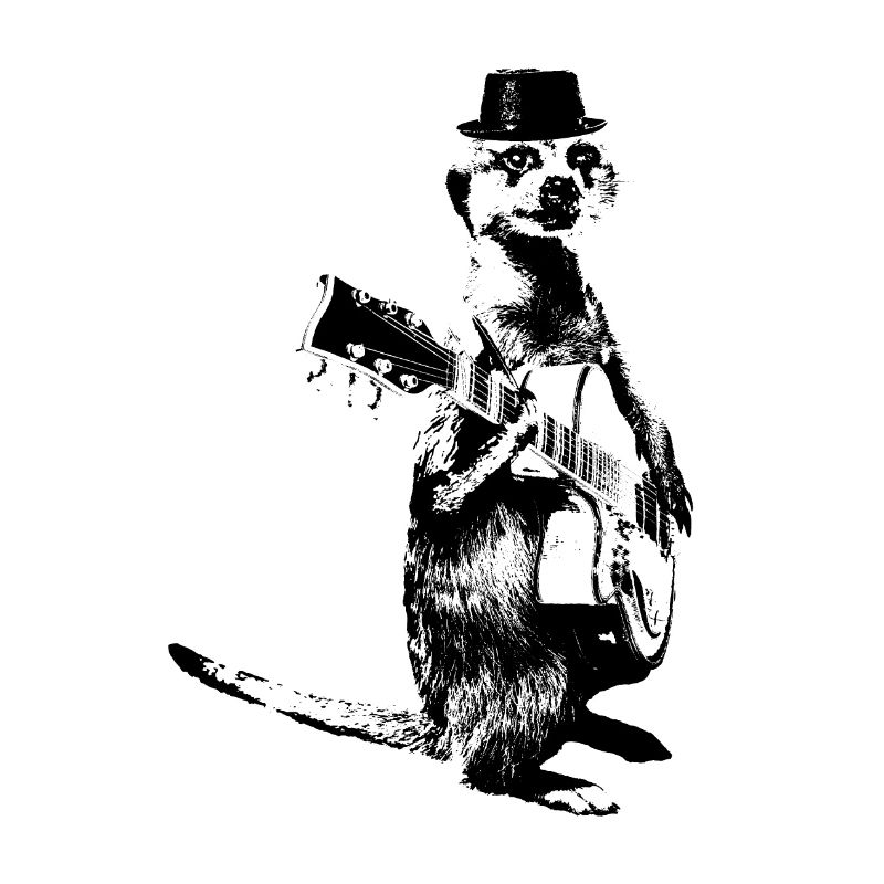 Suricate Guitariste Black Hat