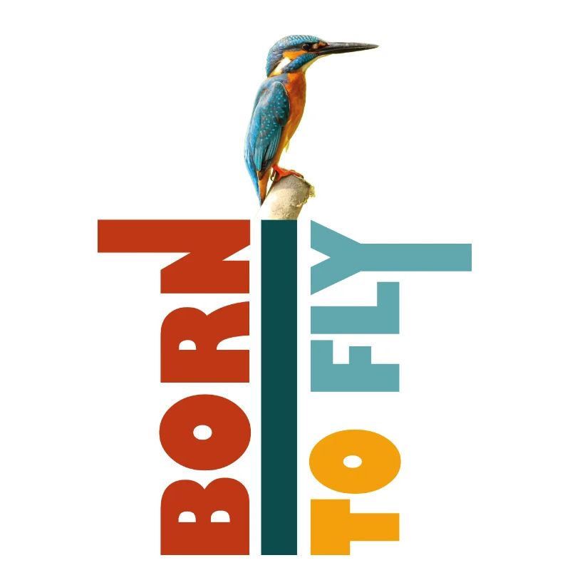 Born to fly, Kingfisher