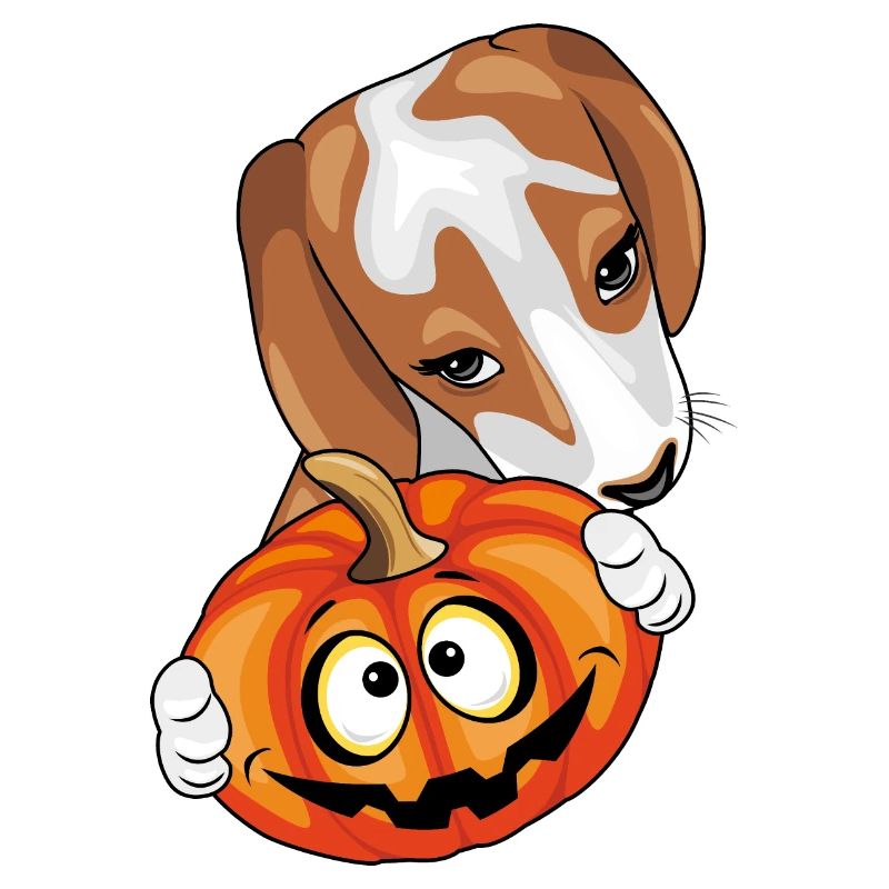 Beagle with pumpkin