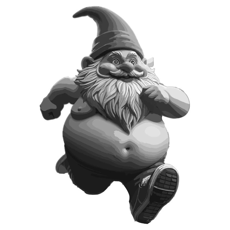 Run Gnom Run