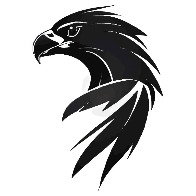 Adler Greifvogel Kopf