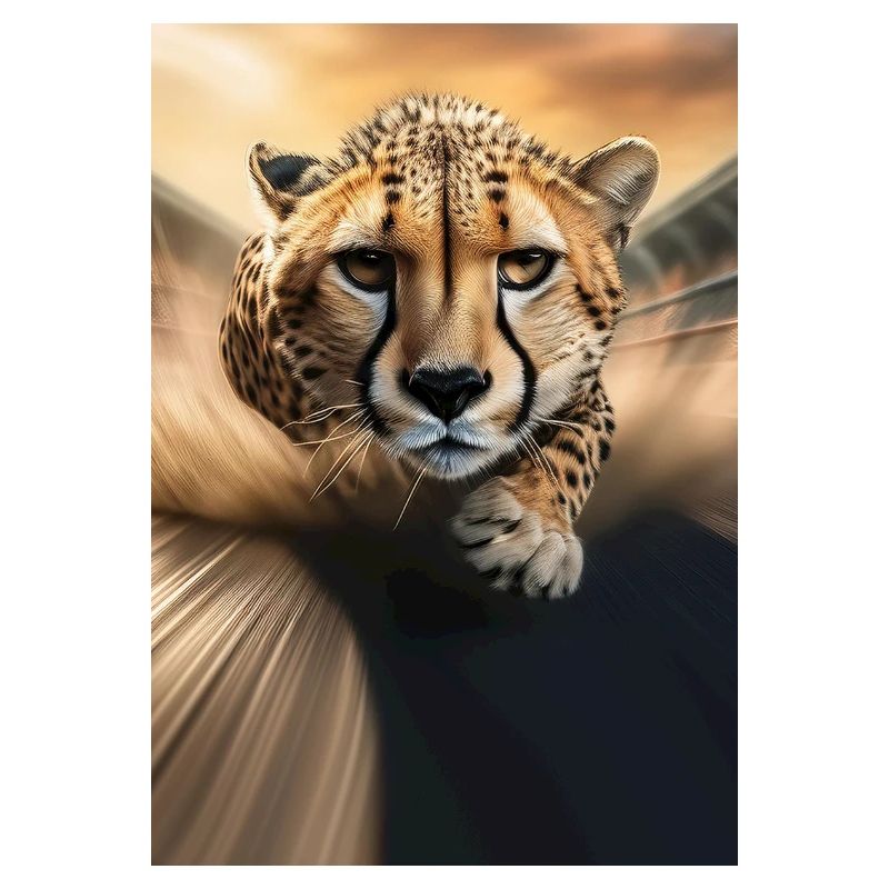 Sprintender Gepard