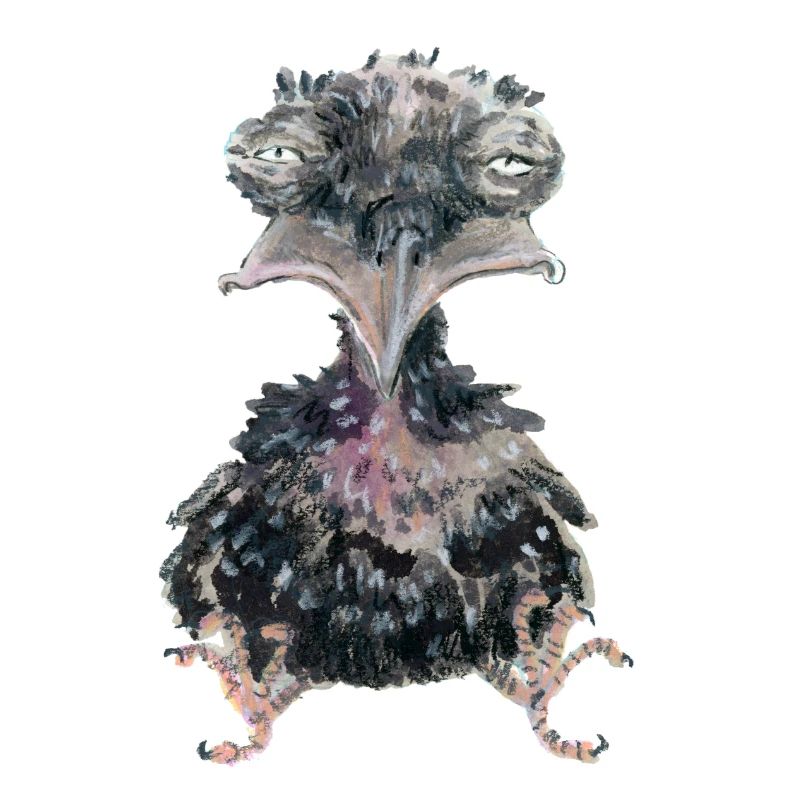 Raven Crow 4
