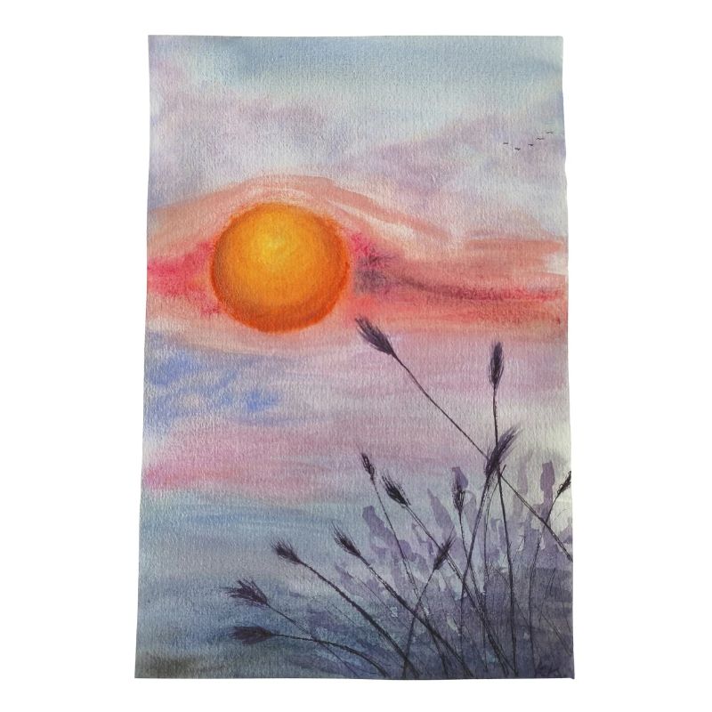 coucher de soleil sur prairie fleurs sauvages herbe blé