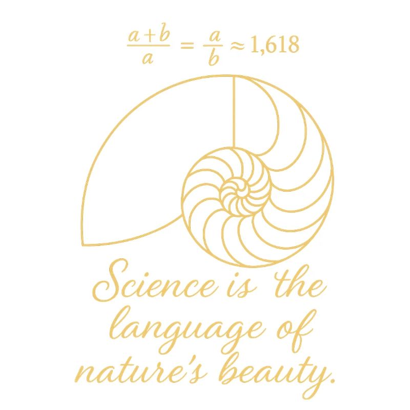 Coque de Fibonacci