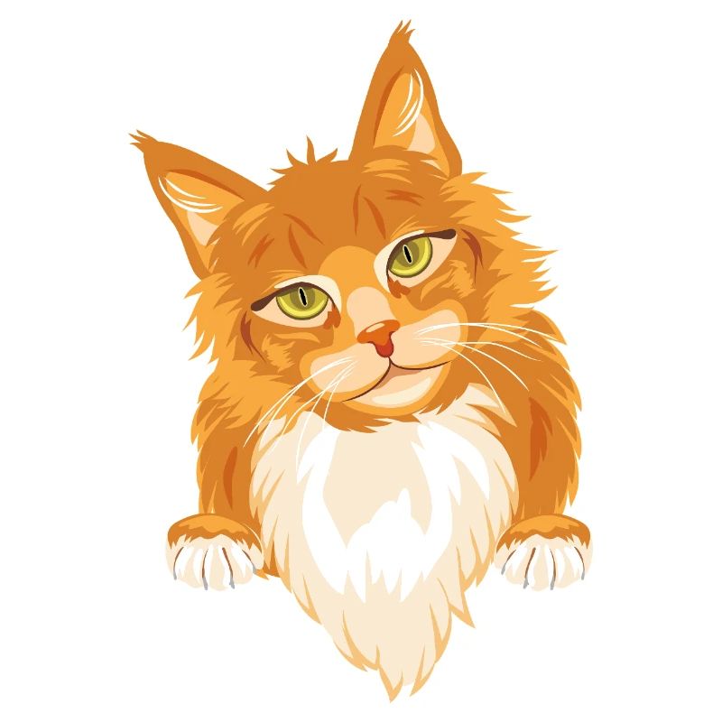 Chat roux timide et mignon