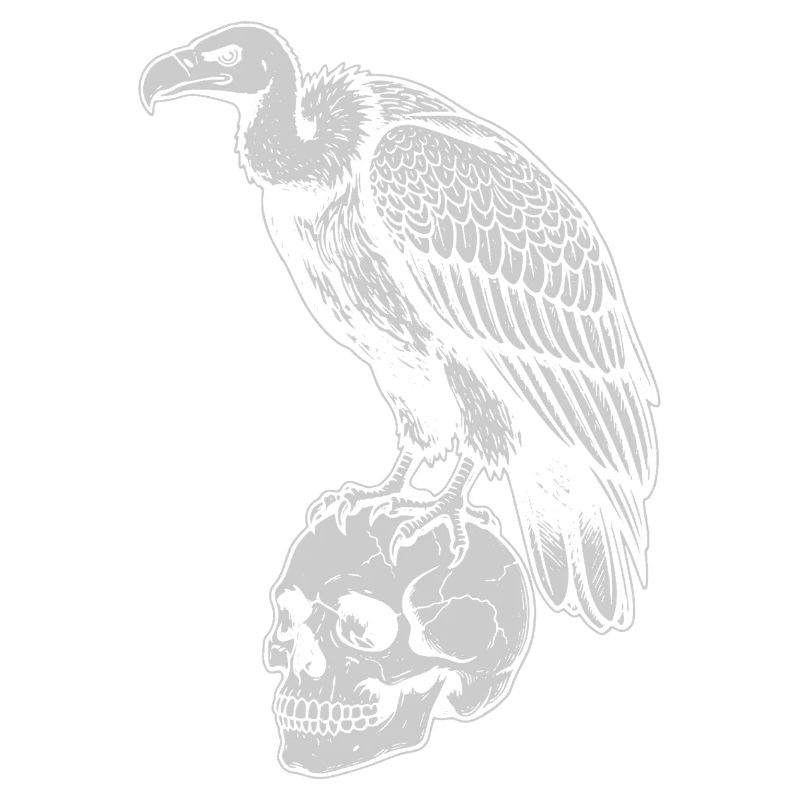 vulture sitting on the skull
