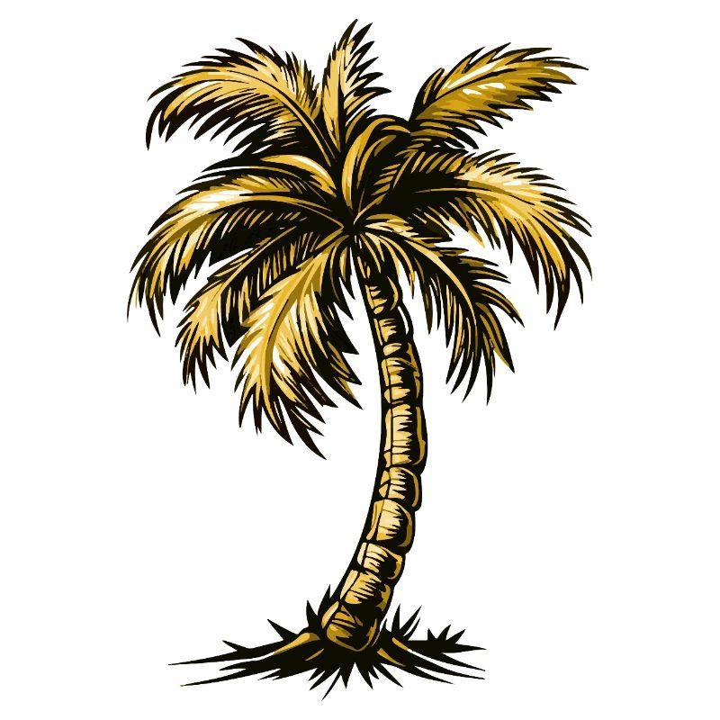 Palme Strand