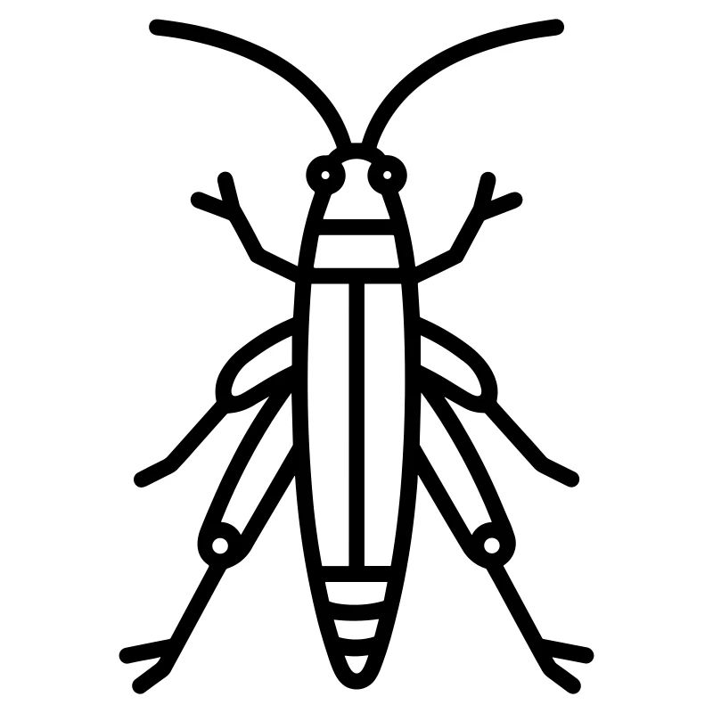 grasshopper