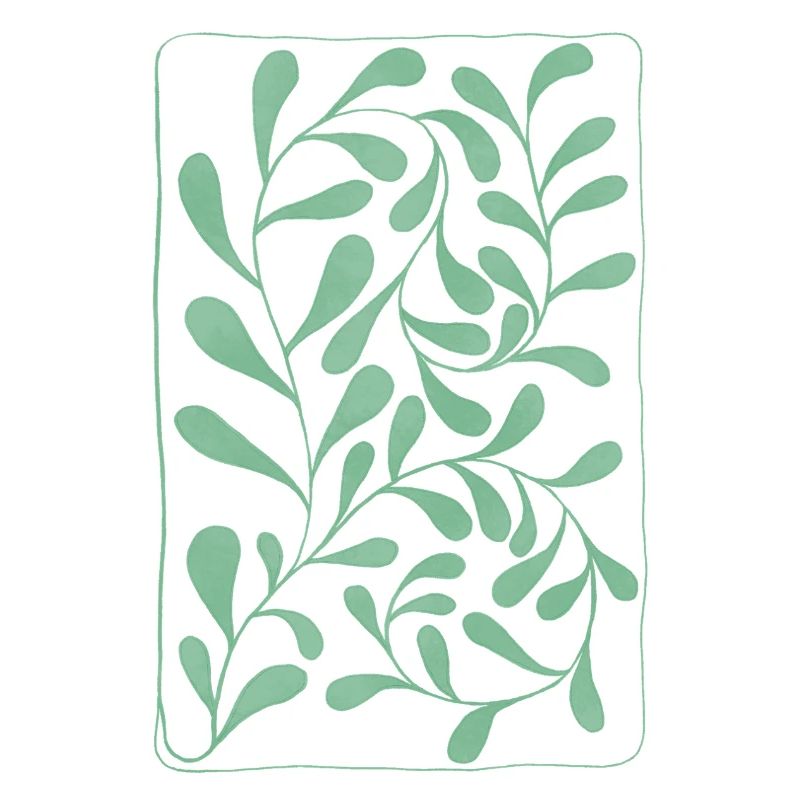 Feuilles d’eucalyptus