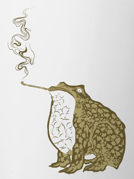 Funky Japanese frog smoking