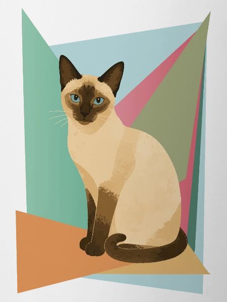 Elegant Siamese cat in geometry style