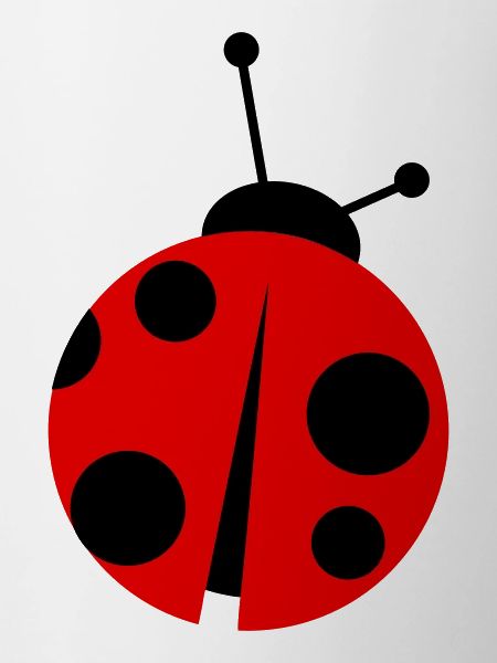 ladybird