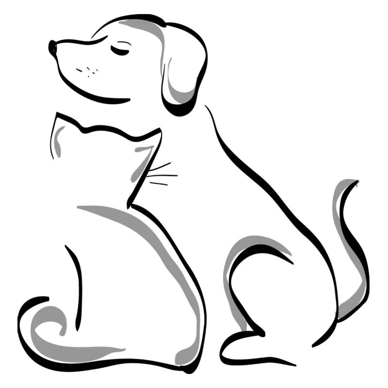 Chien et chat