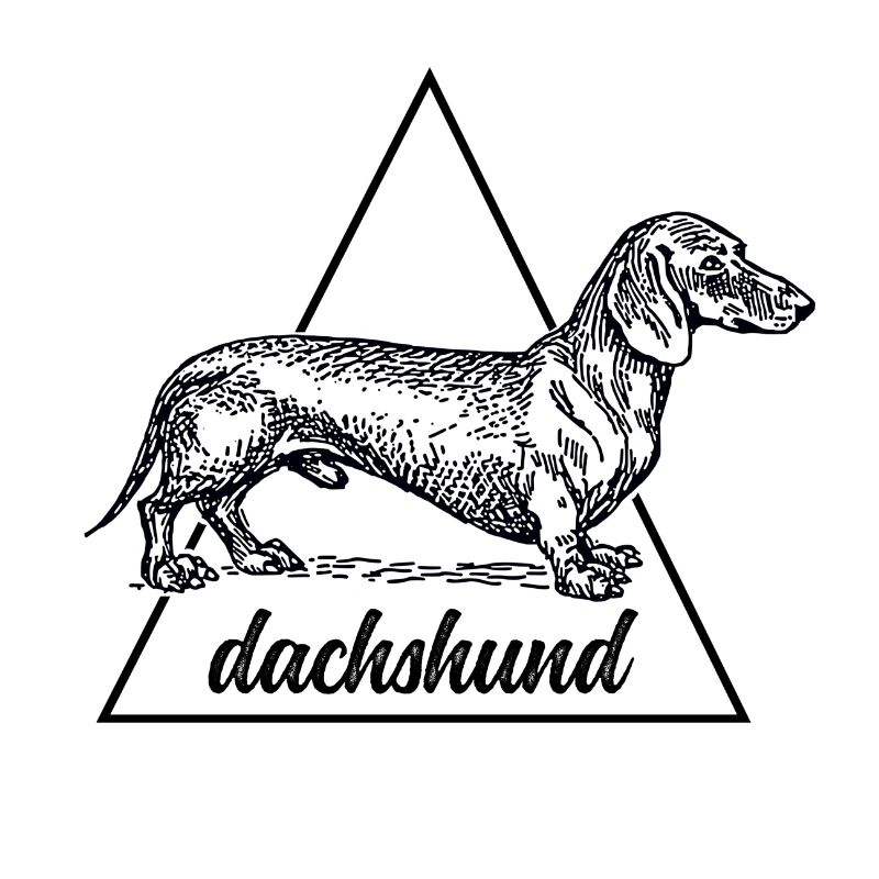 Cadeau chien teckel