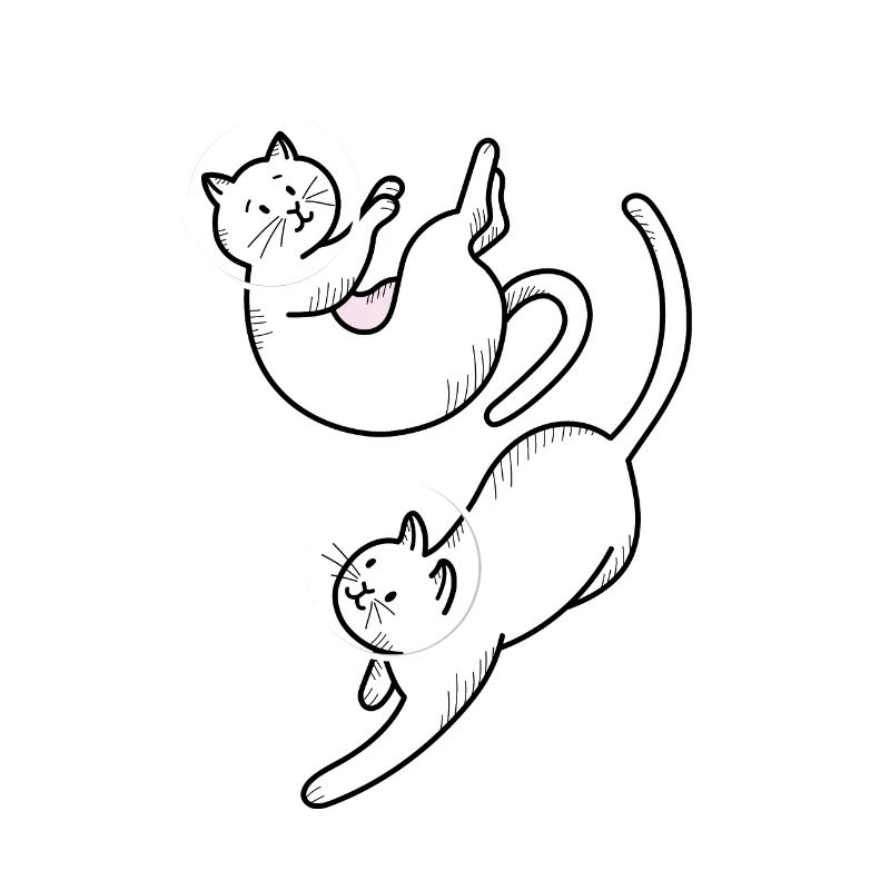 Conception de l'espace chats