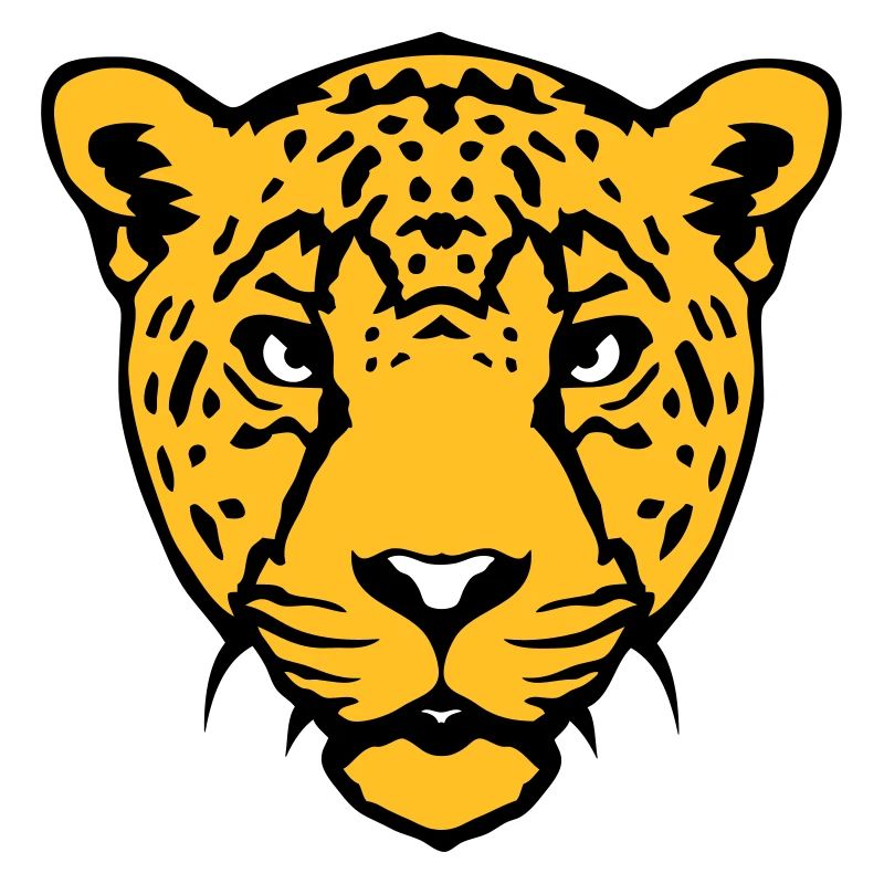guepard wild animal 18
