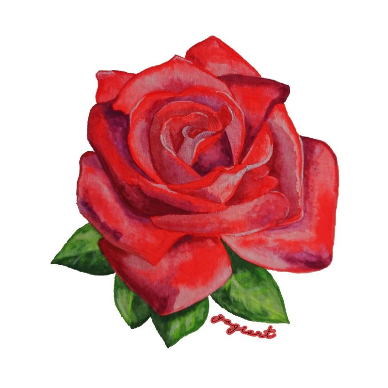 Rose rot