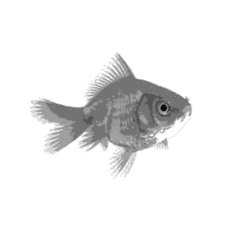 Goldfisch