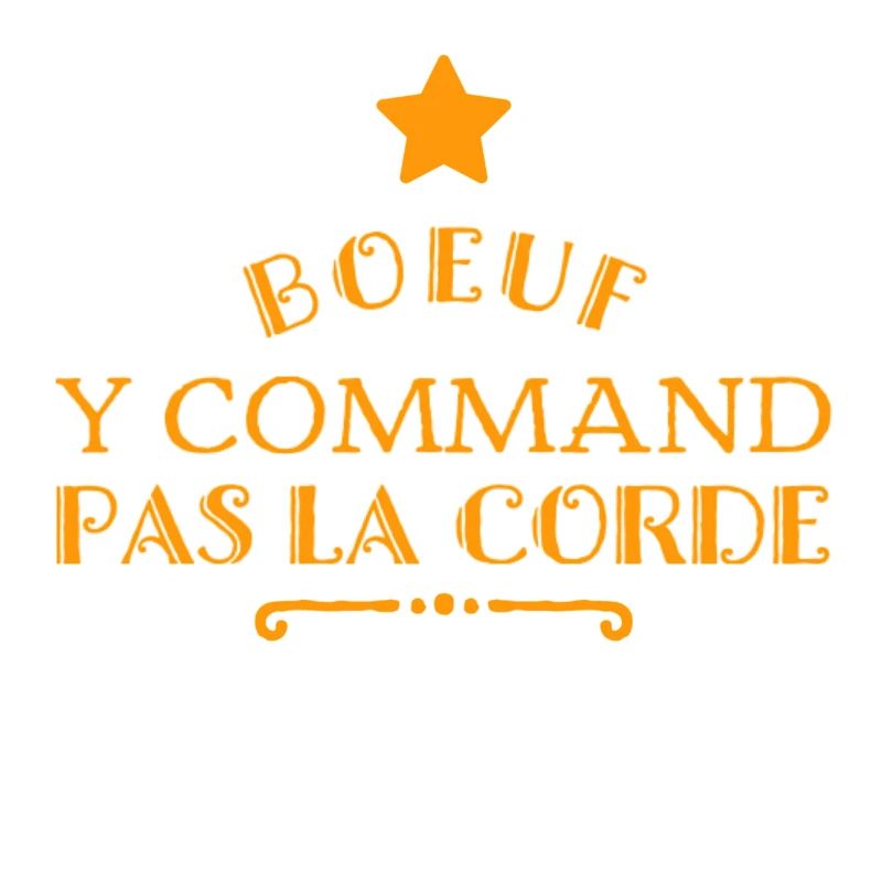 Boeuf y command pas la corde 974 créole la Reunion