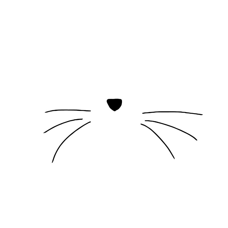 Moustaches de chat