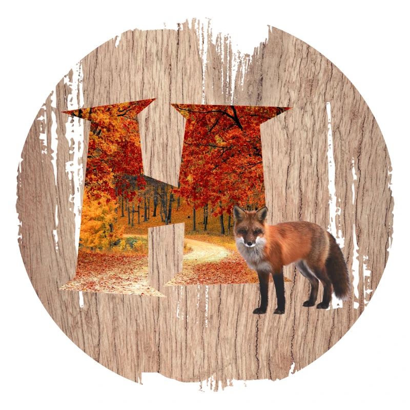 h forêt d’automne avec renard