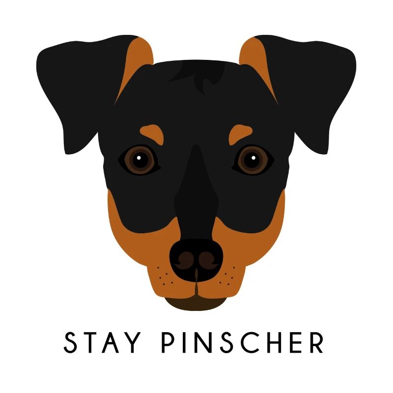 Pinscher - Noir