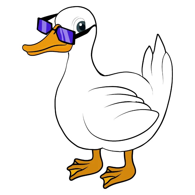 Duck sunglasses cool