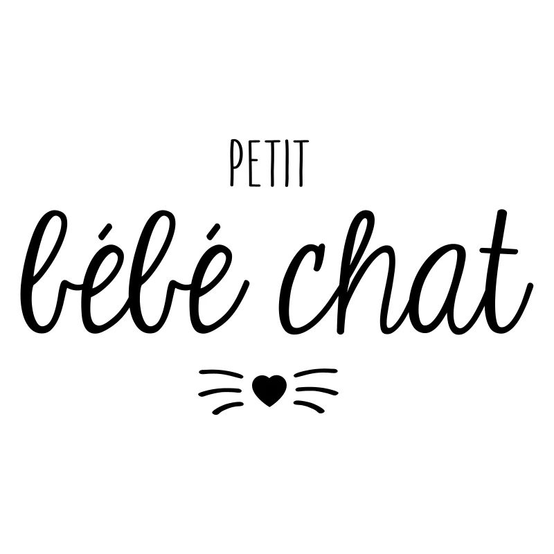 Petit bébé chat