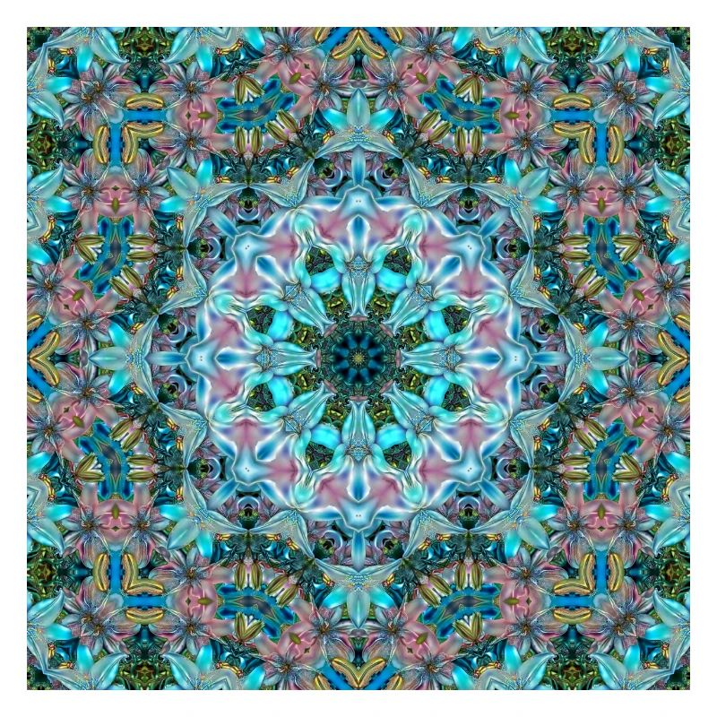 KALEIDOSCOPE LYS ABSTRAITS 2 FLEURS 2