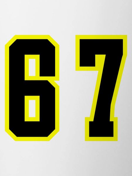 67 Number Leotard