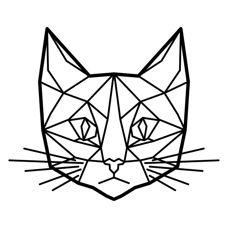 Polygon Cat