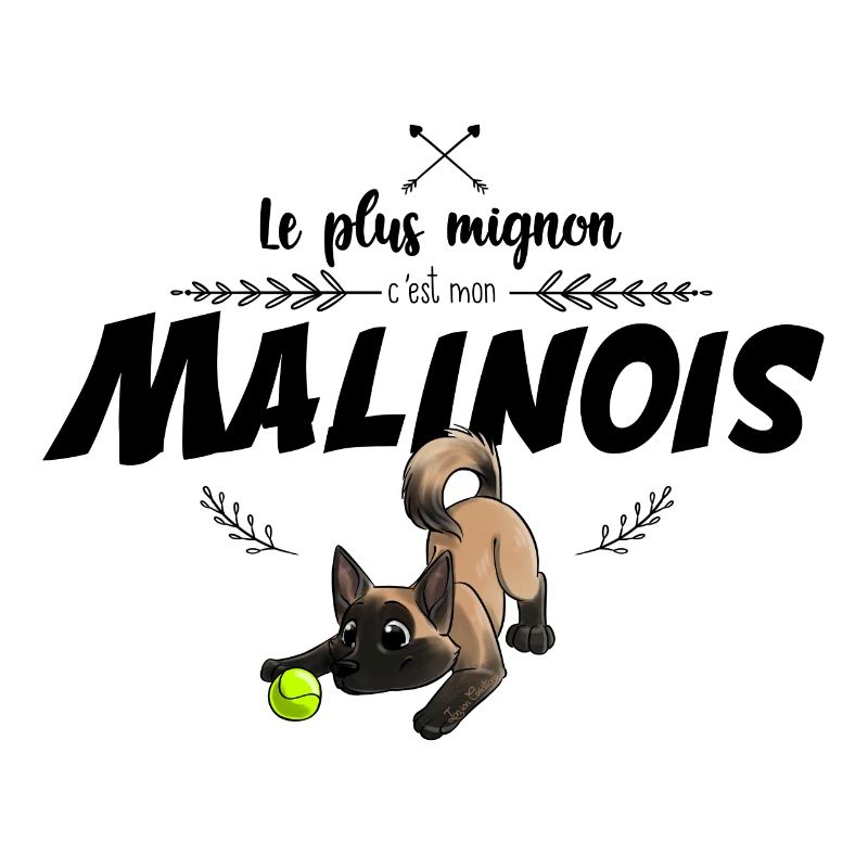Le plus mignon Malinois