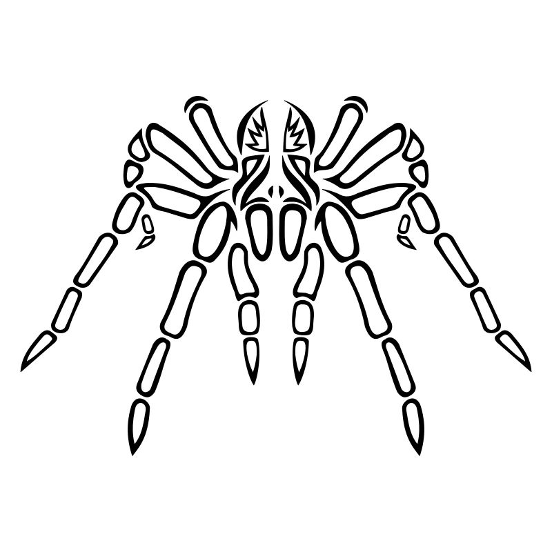 Die Umrisse einer Tribal Tarantel