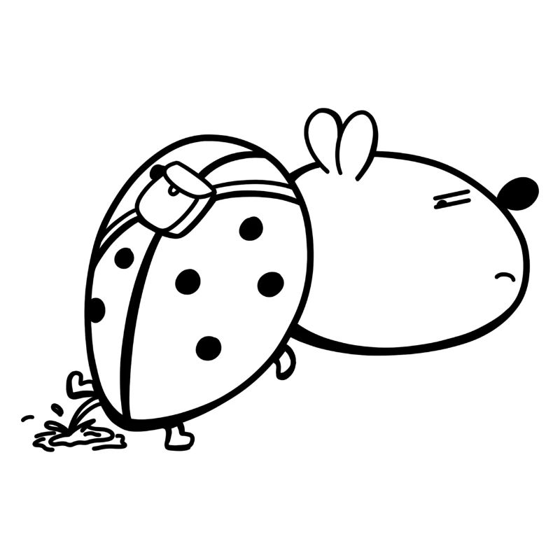 Coccinelle