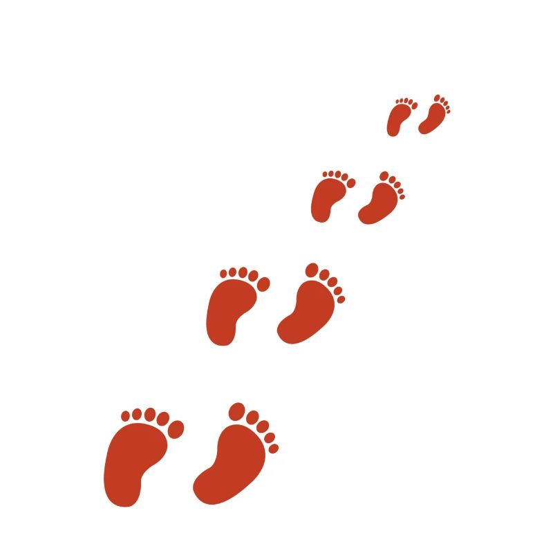 piedi
