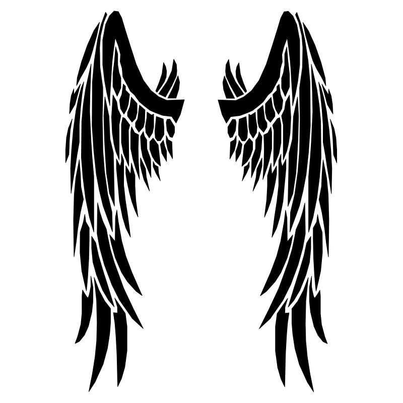 ailes noires
