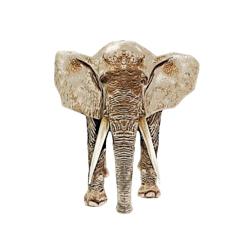 Éléphant de face