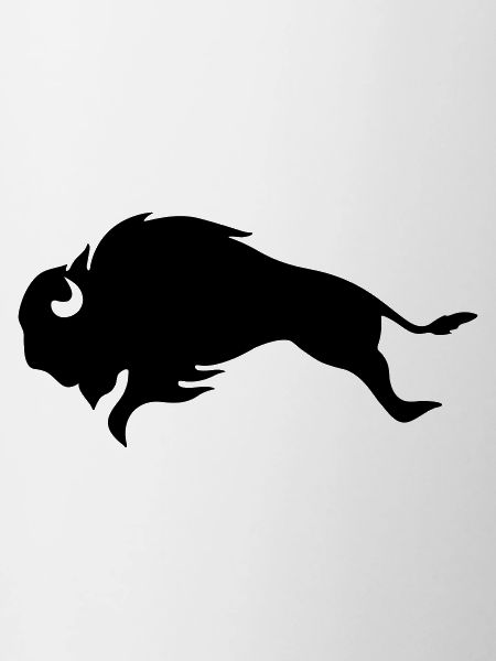BISON BULL Bufallo