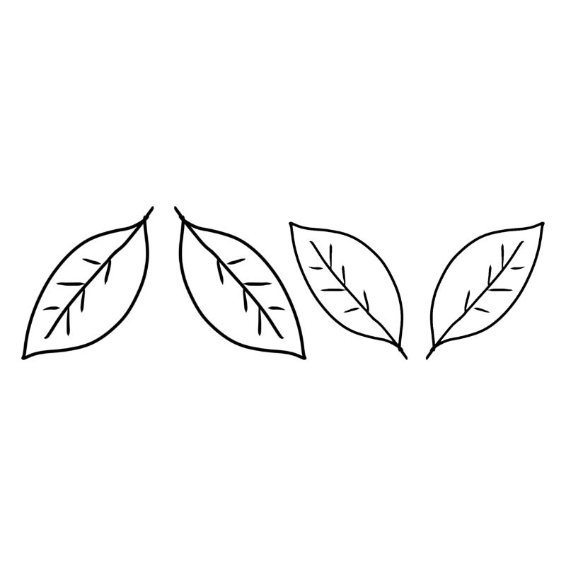 Four Leaves Leaf Symbol Shape Shape