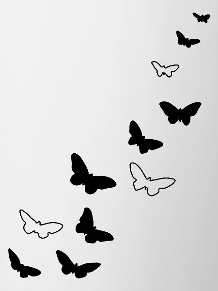 Butterflies Free Warm Spring